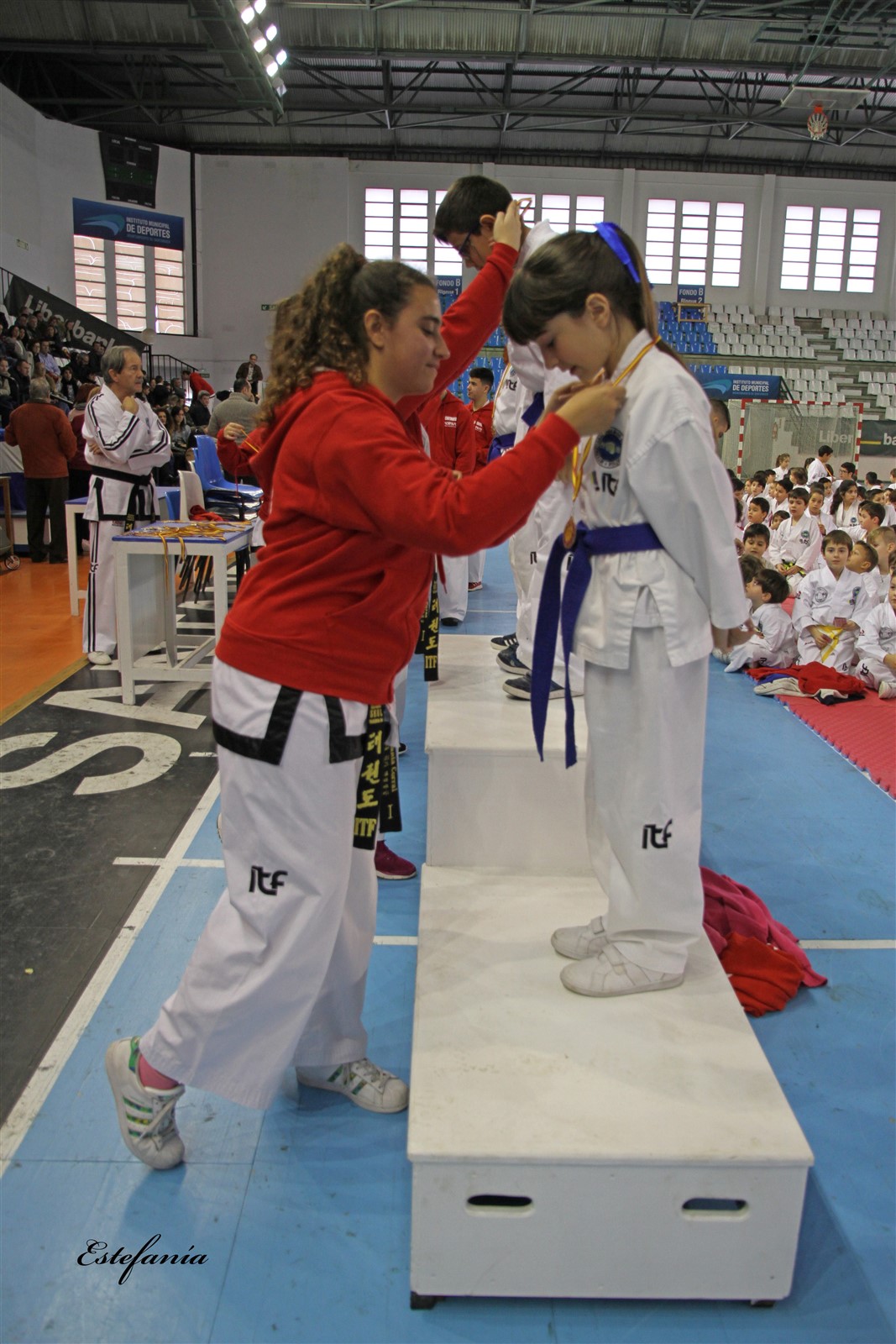 Taekwondo (259).jpg